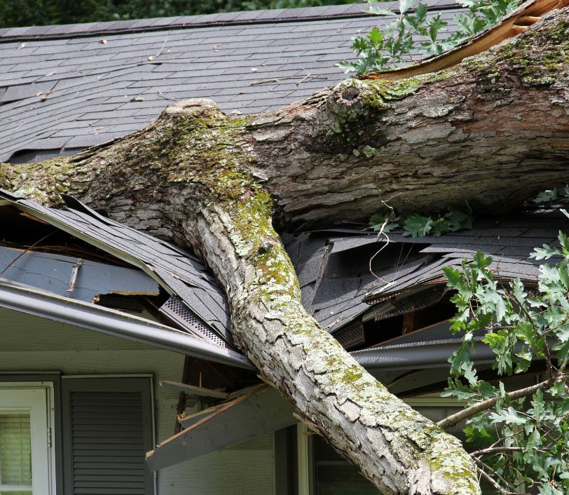 storm damage repair twin cities